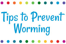Tips to Prevent Worming