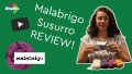 Malabrigo Susurro Yarn Video Review by Rachel photo