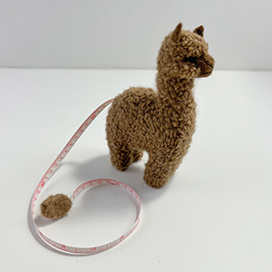 Jimmys Pick - Jimmy Beans Wool Long Tail Tape Measures