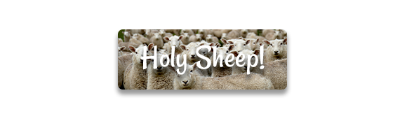 CTA: Holy Sheep!