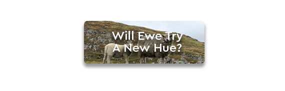 CTA: Will Ewe Try A New Hue?
