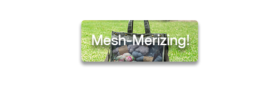 Mesh-Merizing! text over a photo of a mesh tote bag on grass