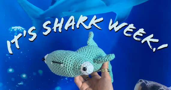 Shark Week Header