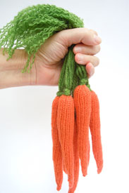 Berroco Carrots with Greens Kit