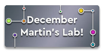 December - Martin's Lab