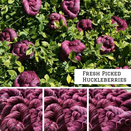 Tosh LE Sept 2015 - Fresh Picked Huckleberries