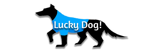 CTA: Lucky Dog!