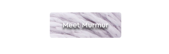 CTA: Meet Murmur