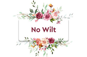 CTA 1: No Wilt