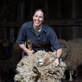Long Island Yarn and Farm - Sheep