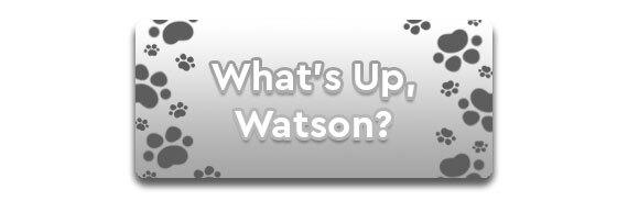What's Up, Watson? CTA