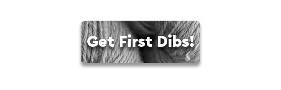 CTA: Get First Dibs!