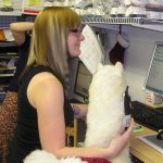 Amber is learning to type with only one hand, so she can pet Morris and still email customers.