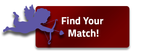 Find Your Match