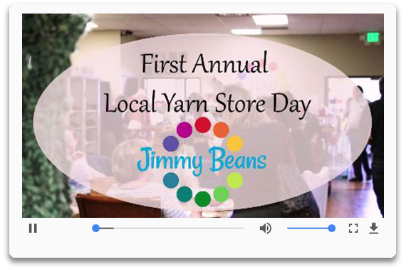 Local Yarn Store Day Recap Video