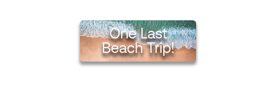 CTA: One Last Beach Day!