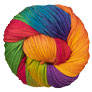 Lorna's Laces Shepherd Worsted - Rainbow Yarn photo