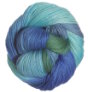 Lorna's Laces Shepherd Worsted - Icehouse (Blues & Green) Yarn photo