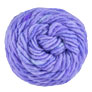 Brown Sheep Lamb's Pride Worsted - M285 - Frosted Periwinkle Yarn photo