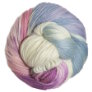 Lorna's Laces Shepherd Worsted - Confetti Yarn photo