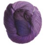 Lorna's Laces Shepherd Worsted - Purple Club Yarn photo