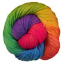 Lorna's Laces Shepherd Sport - Rainbow Yarn photo