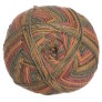 Berroco Comfort Sock - 1812 - Stewart Island Yarn photo