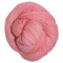 Lorna's Laces Shepherd Sport - Peach Yarn photo