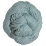 Blue Sky Fibers Worsted Hand Dyes - 2023 Lagoon (Discontinued) Yarn photo