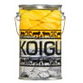 Koigu Paint Cans - Illuminating Yarn photo