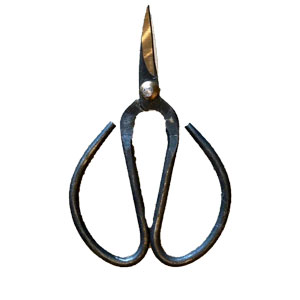 Scissors - Knife Edge Scissor by Lacis