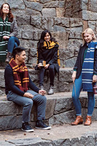 Brown Sheep Hogwarts House Scarves Kit - Scarf and Shawls