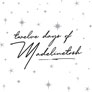 Madelinetosh 12 Days Of Tosh Kits