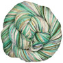 Koigu KPPPM - '22 October Collector - The Wool Shed Yarn photo