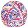 Regia 4-Ply Color Yarn - 03790 Funky Red and Blue
