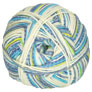 Regia 4-Ply Color Yarn - 03793 Funky Azur and Grey