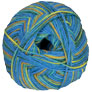 Regia 4-Ply Color Yarn - 09421 Celebrations Blue