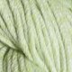 Cascade Cotton Rich DK - 5487 - Cucumber Yarn photo