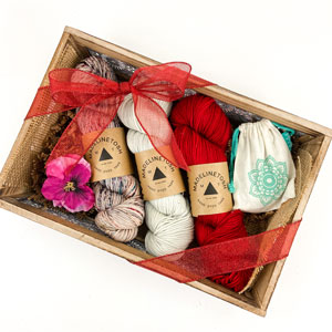 Jimmy Beans Wool Madelinetosh Yarn Bouquets kits Paris a Midi - Reds