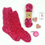 Jimmy Beans Wool Prosper Sock Kit Kits