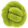 Dream In Color Smooshy Yarn - Prickly Pear