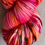 Dream In Color Savvy Yarn - Desert City Wattage (Pre-Order, Ships Early Spring)