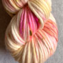 Dream In Color Savvy Yarn - Sonoran Magic (Pre-Order, Ships Early Spring)