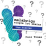 Malabrigo Single Lot Dos Tierras Grab Bags Kits
