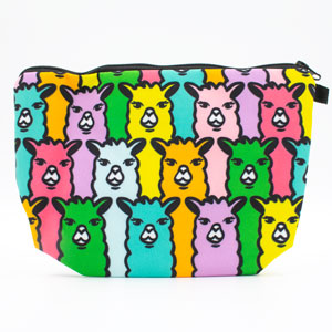 Jimmy Beans Wool  Accessories - Neon Alpaca Notion Pouch by Various