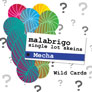 Malabrigo - Single Lot Mecha Color Packs Review