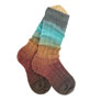 Freia Fine Handpaints Solemates Sock Set - Canyon Yarn photo