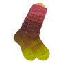 Freia Fine Handpaints Solemates Sock Set - Autumn Rose Yarn photo