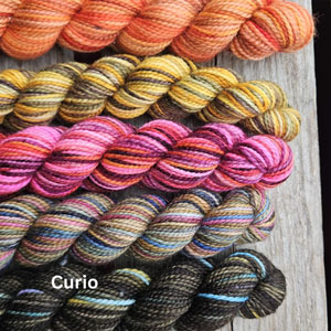 Koigu Paint Cans Yarn - Curio