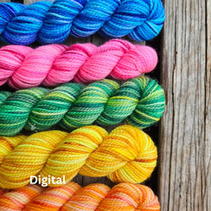 Koigu Paint Cans Yarn - Digital